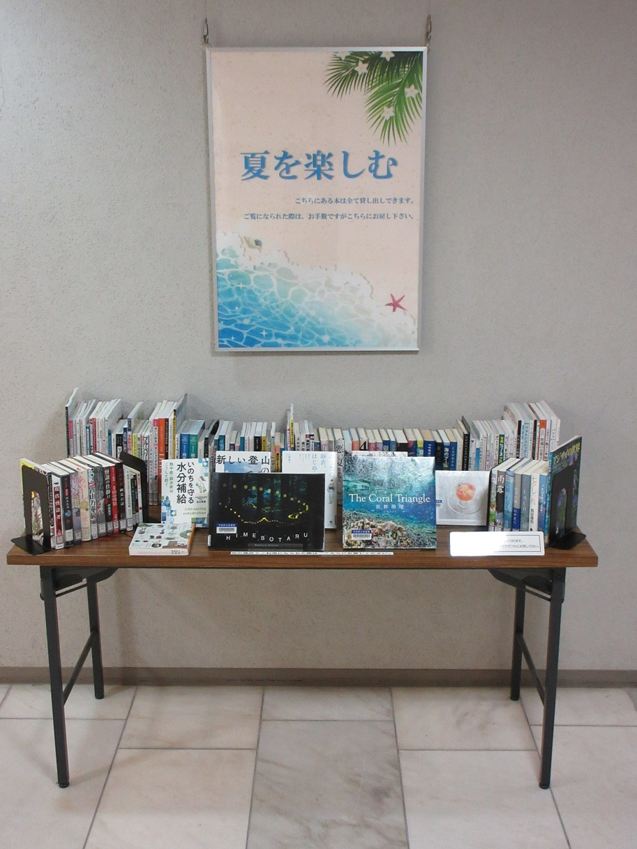 企画展示「夏を楽しむ」の写真