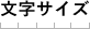 文字サイズ